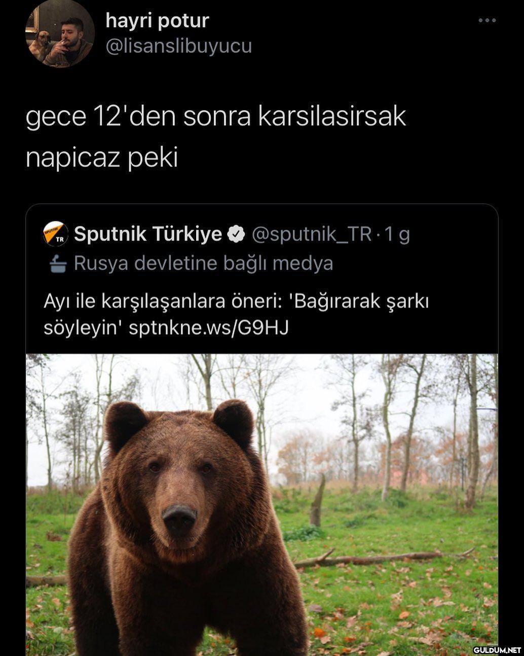 hayri potur...