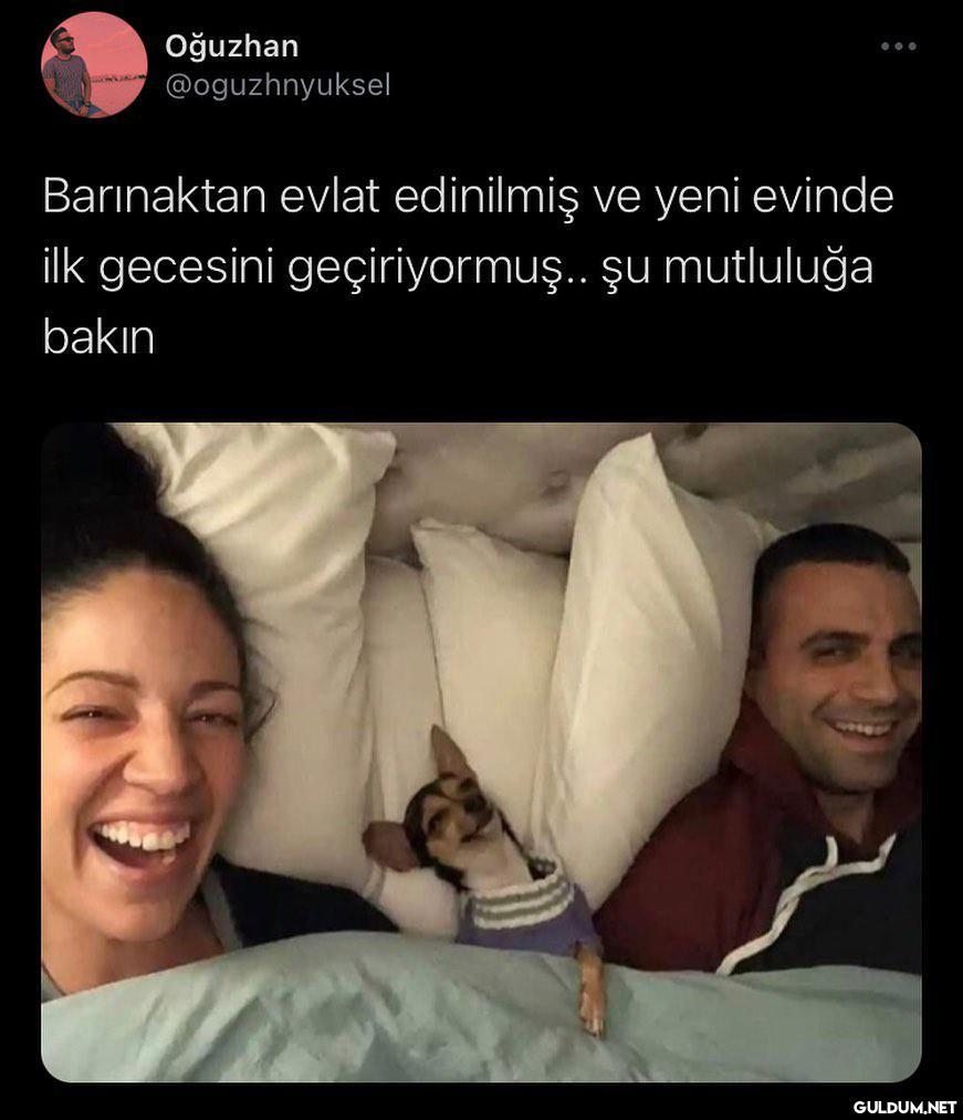 Oğuzhan @oguzhnyuksel...