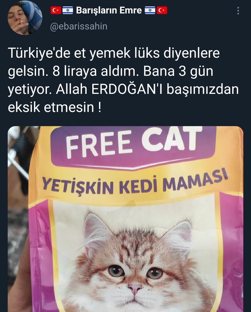 YETİŞKİN KEDİ MAMASI...
