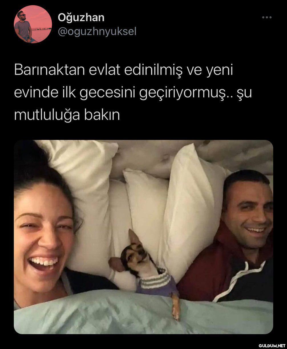 Oğuzhan @oguzhnyuksel...