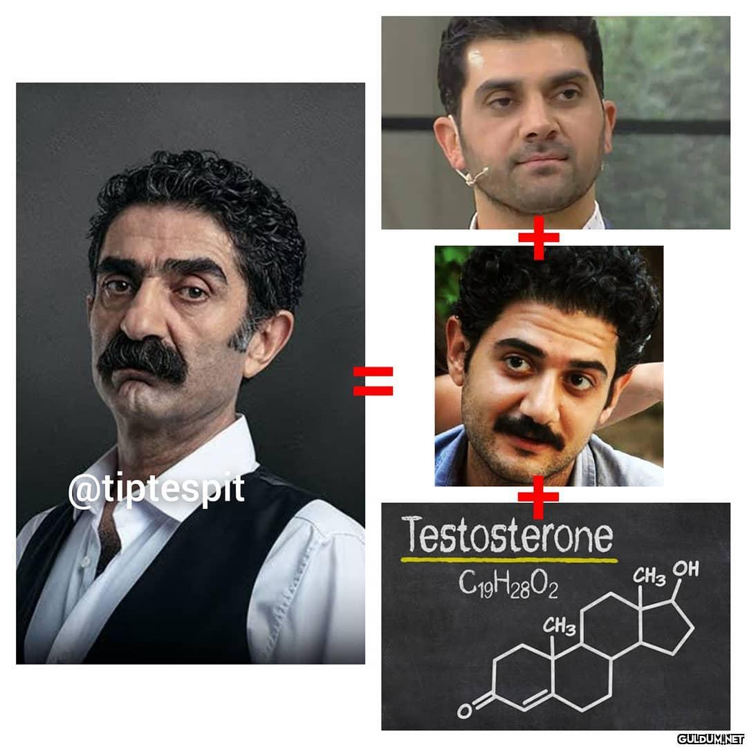 Bayhan + Cihan Ercan + 200...