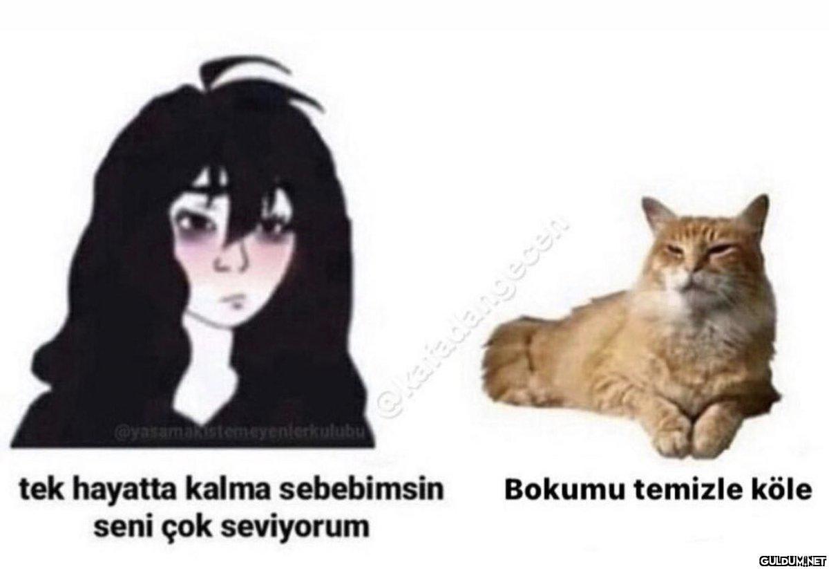 @yasamanstemeyenlerkul tek...