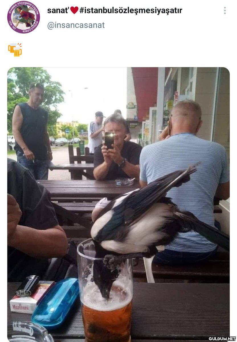 SOZLEŞMES...
