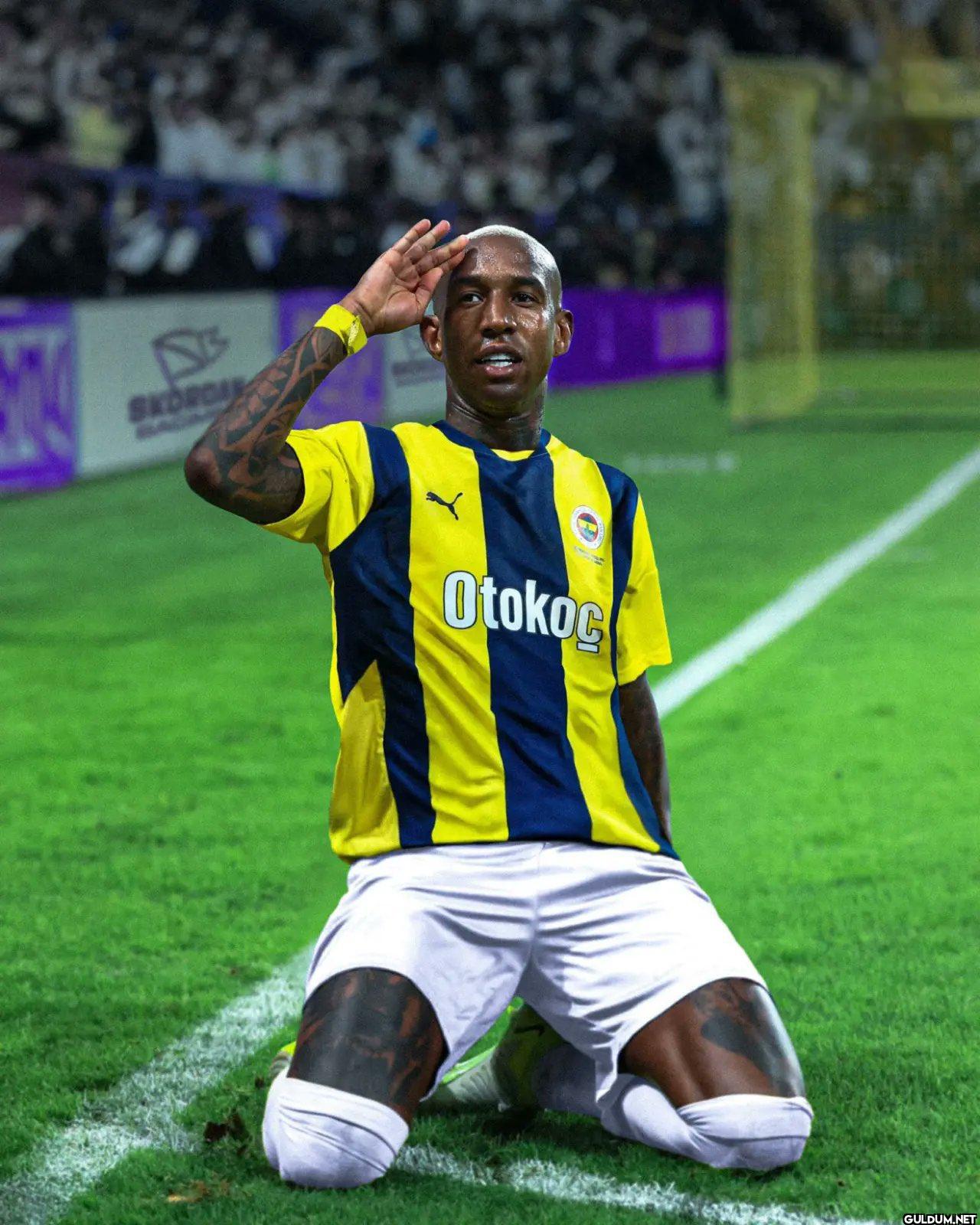 Fenerbahçe, Anderson...
