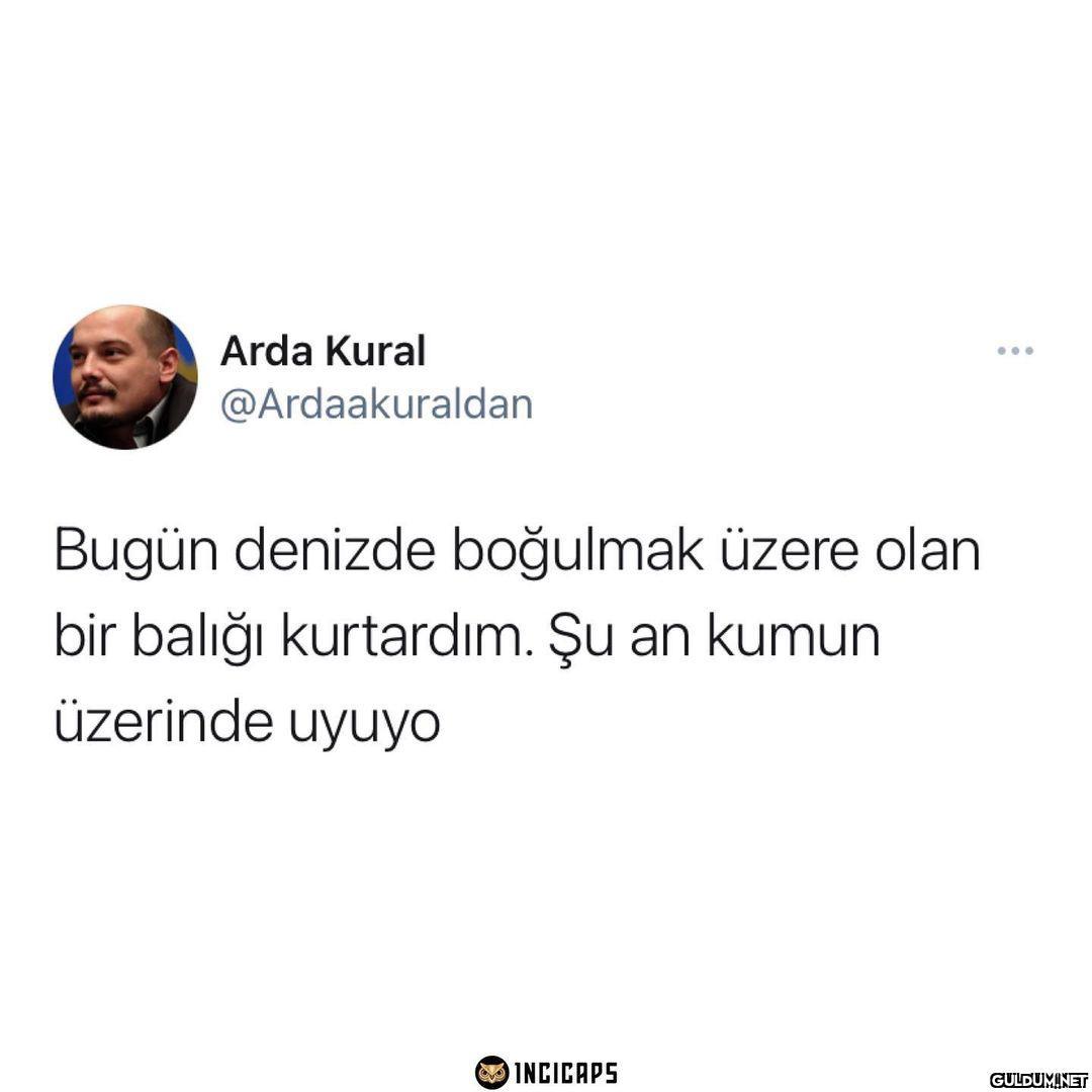 Arda Kural ......