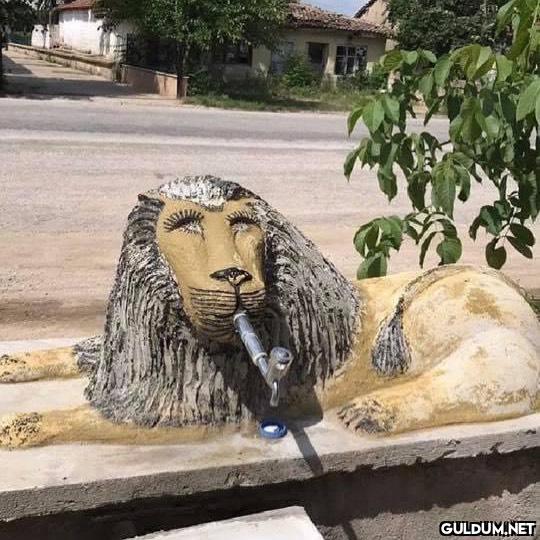 anlamsız fotoğraflar 7383  Kaynak