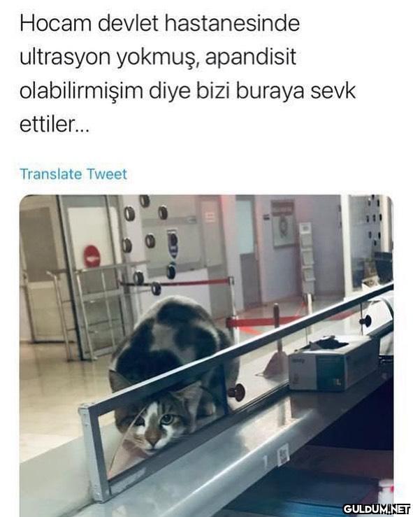 Hocam devlet hastanesinde...