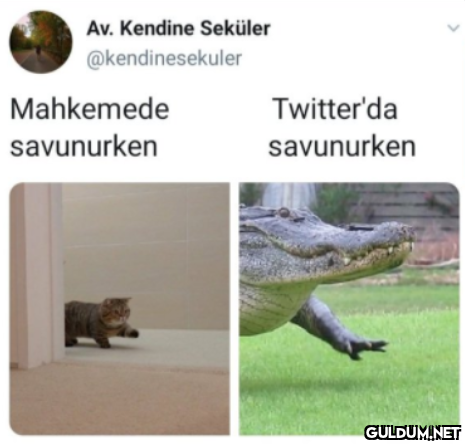 Av. Kendine Seküler...
