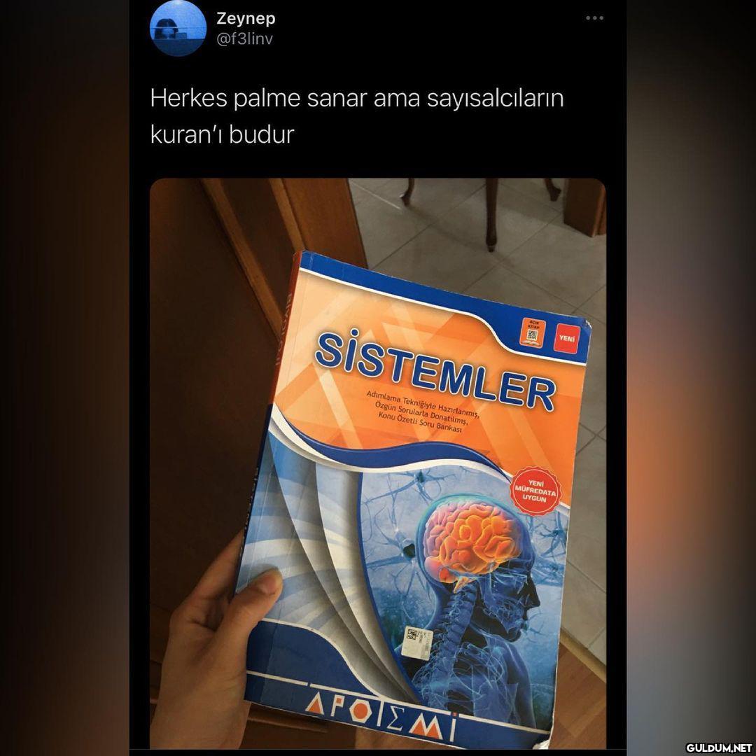 Bu doğru mu?  Zeynep...