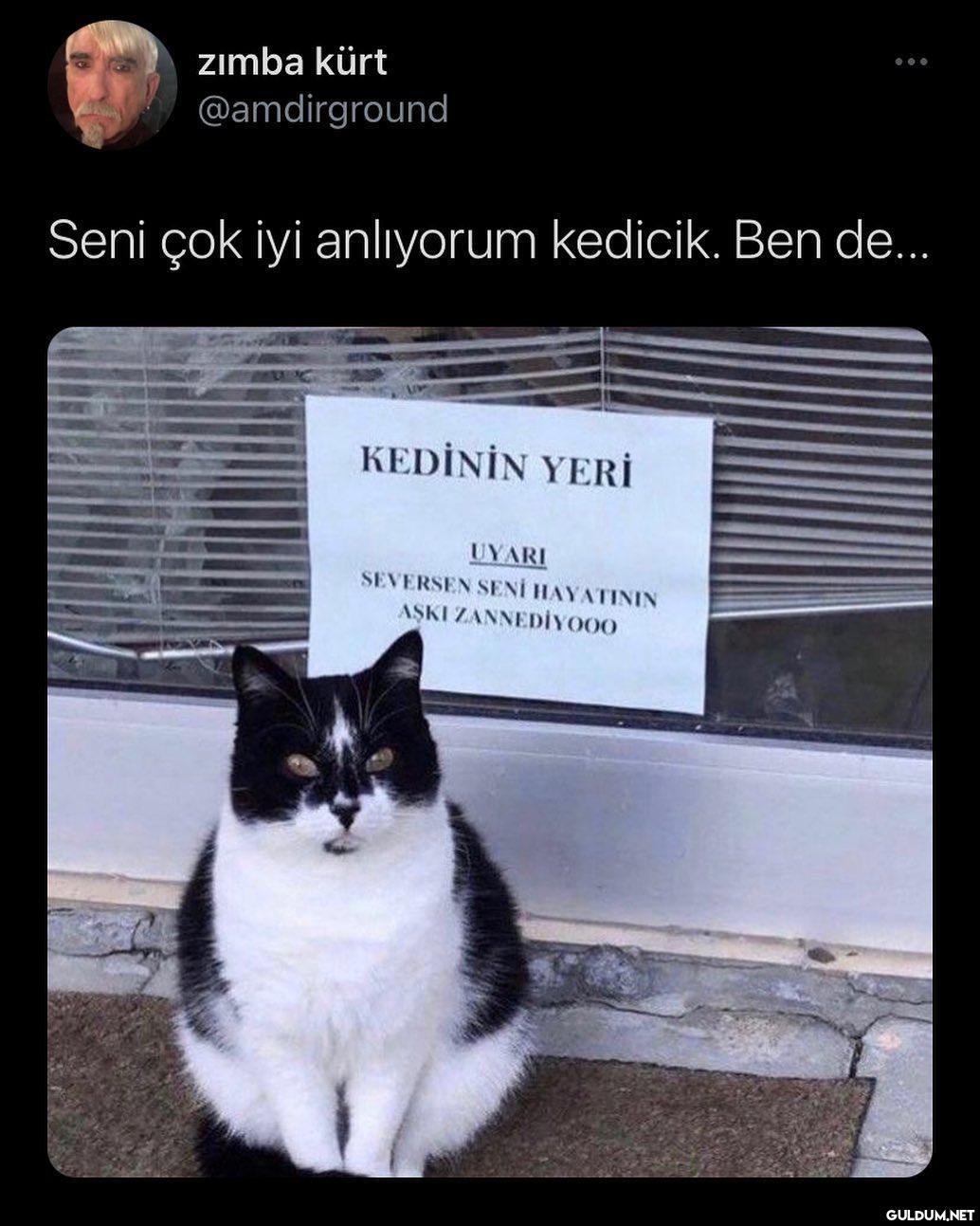 zımba kürt @amdirground...