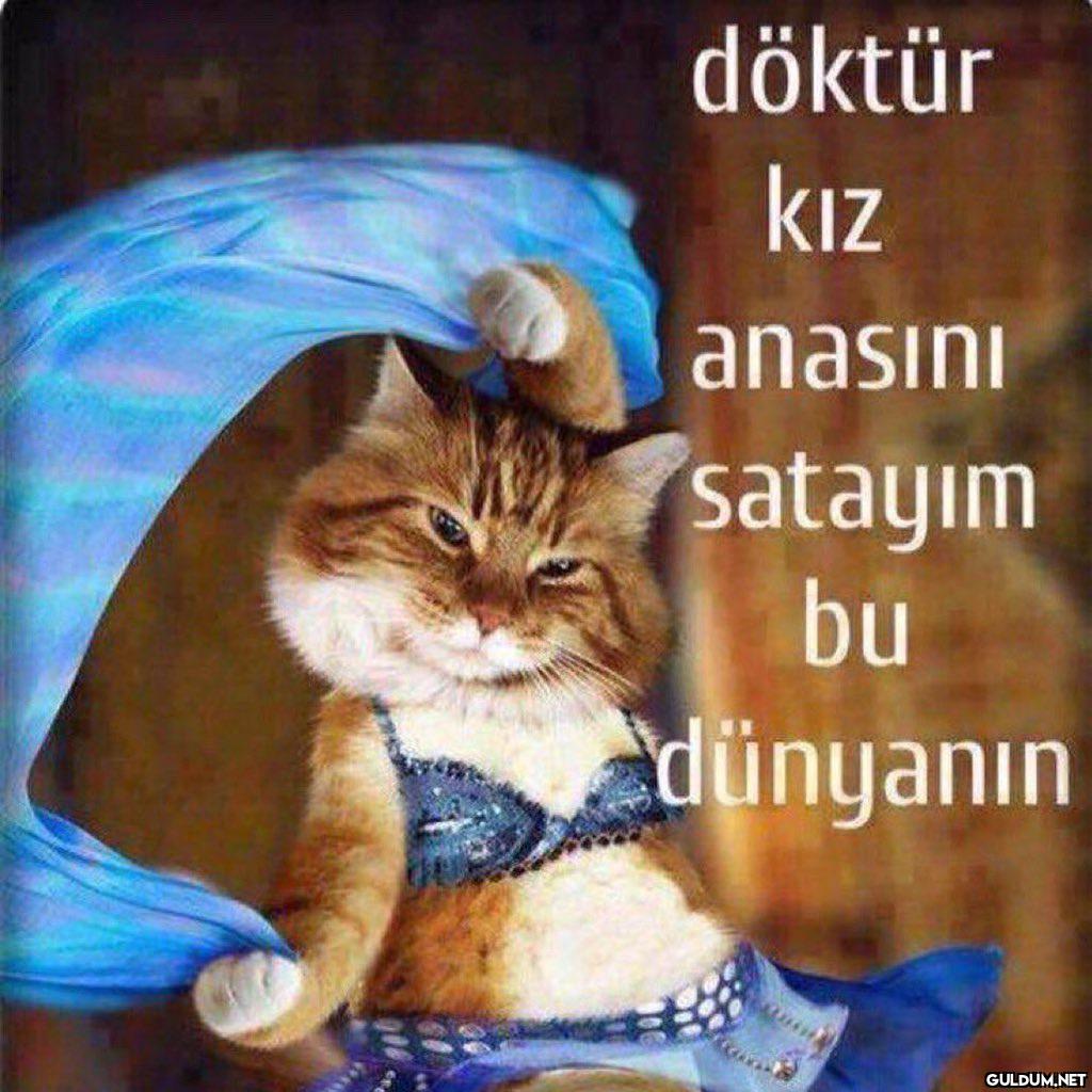Artık modumuz bu  döktür...