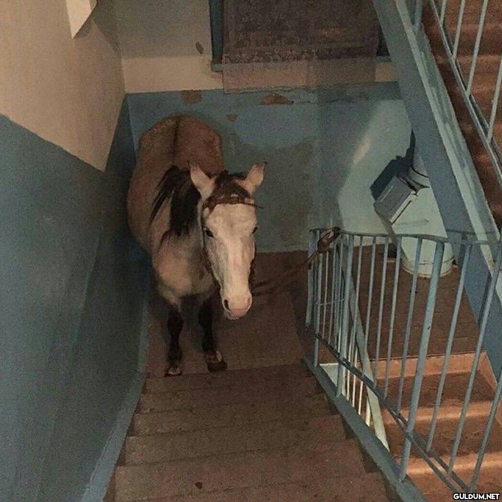 Güne böyle başladık  BENİ...