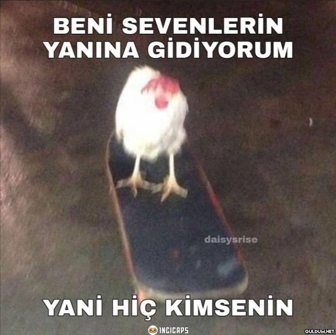 Güne böyle başladık  BENİ...