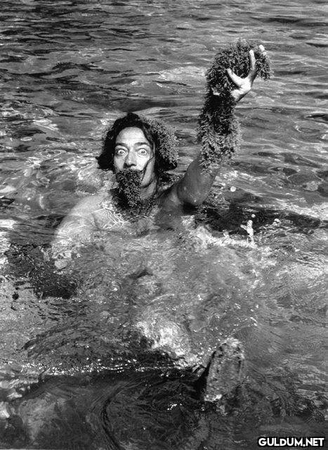 @satrayni Salvador Dali☀️...