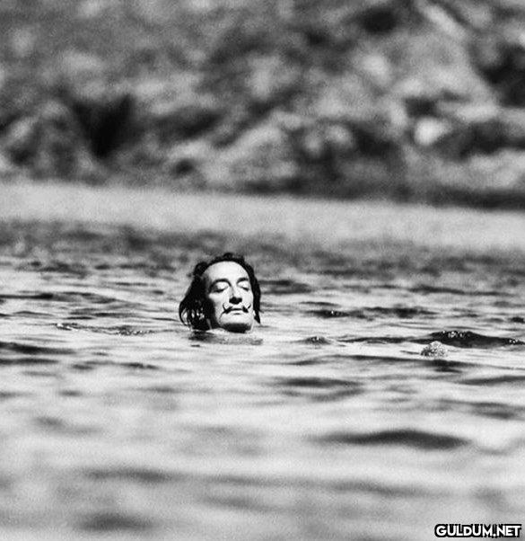 @satrayni Salvador Dali☀️...