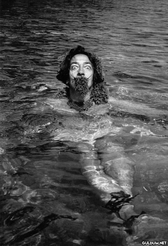 @satrayni Salvador Dali☀️...