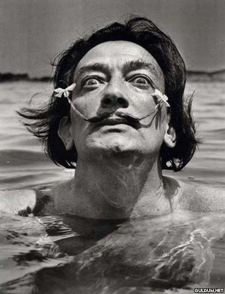 @satrayni Salvador Dali☀️...