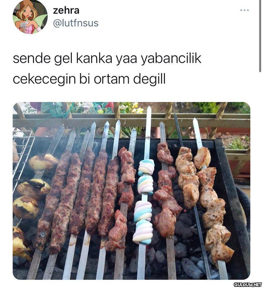 zehra ... @lutfnsus sende...
