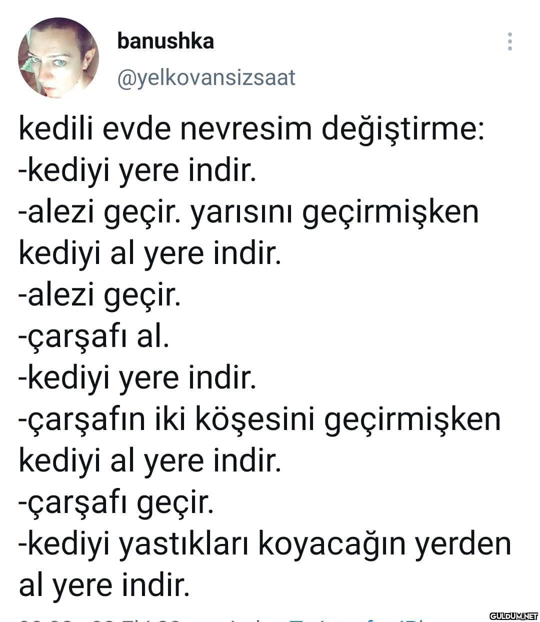 Kedisi olanların kesin...