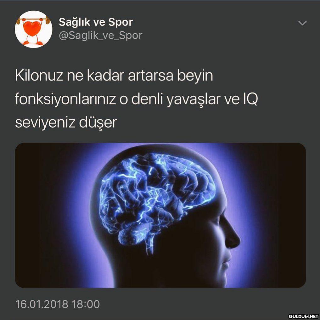 Beyinsiz arkadaş...