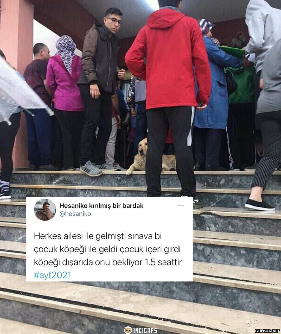Can dostlarımız 🐶 ...