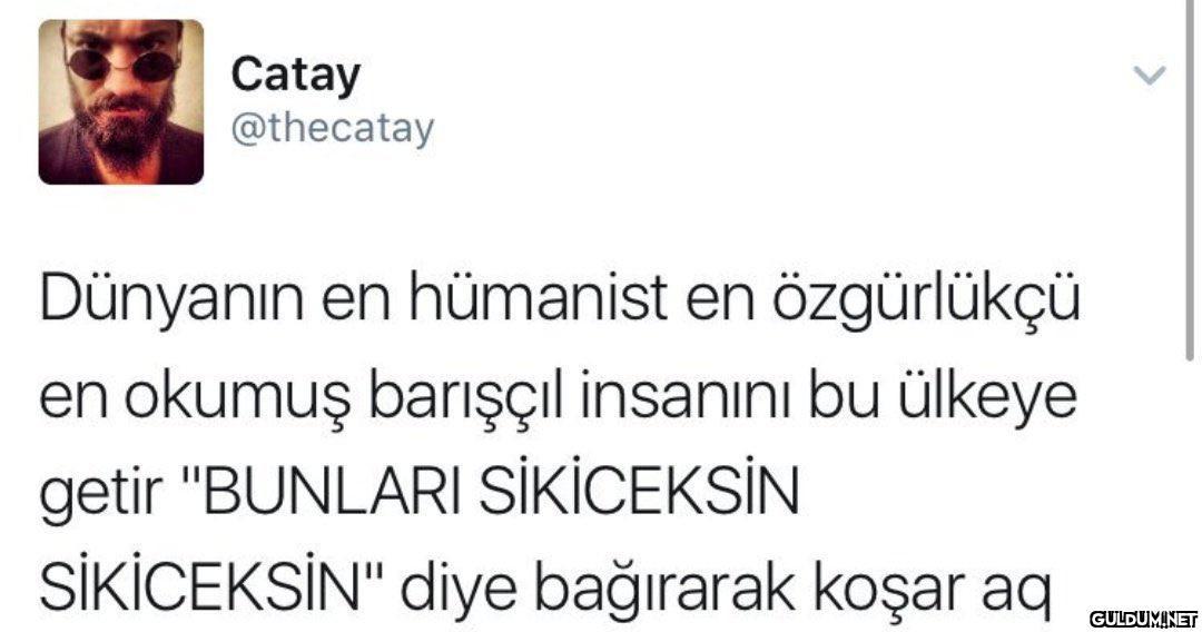 Catay @thecatay Dünyanın...