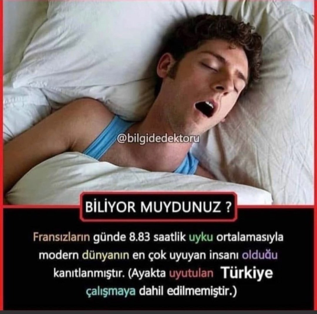 @bilgidedektoru BİLİYOR...