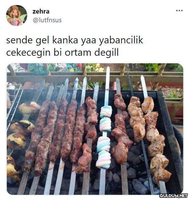 zehra ... @lutfnsus sende...