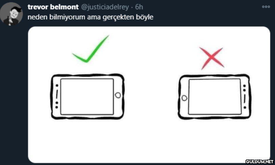 trevor belmont...
