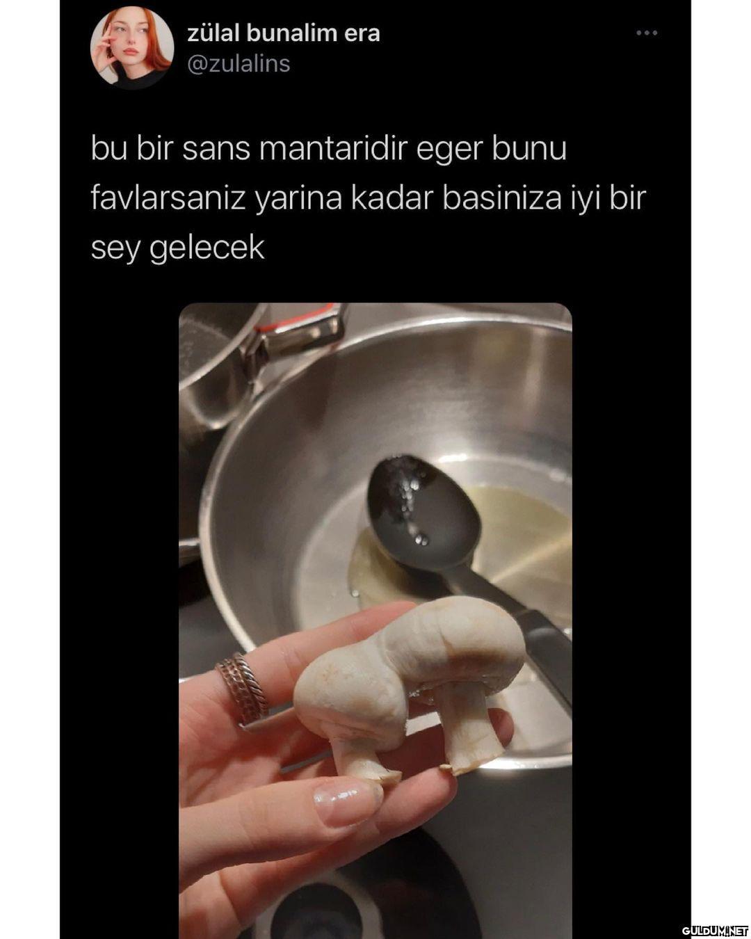 deneyelim bakalım  zülal...