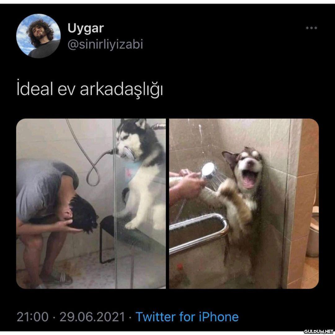 2.fotoya gümledim...