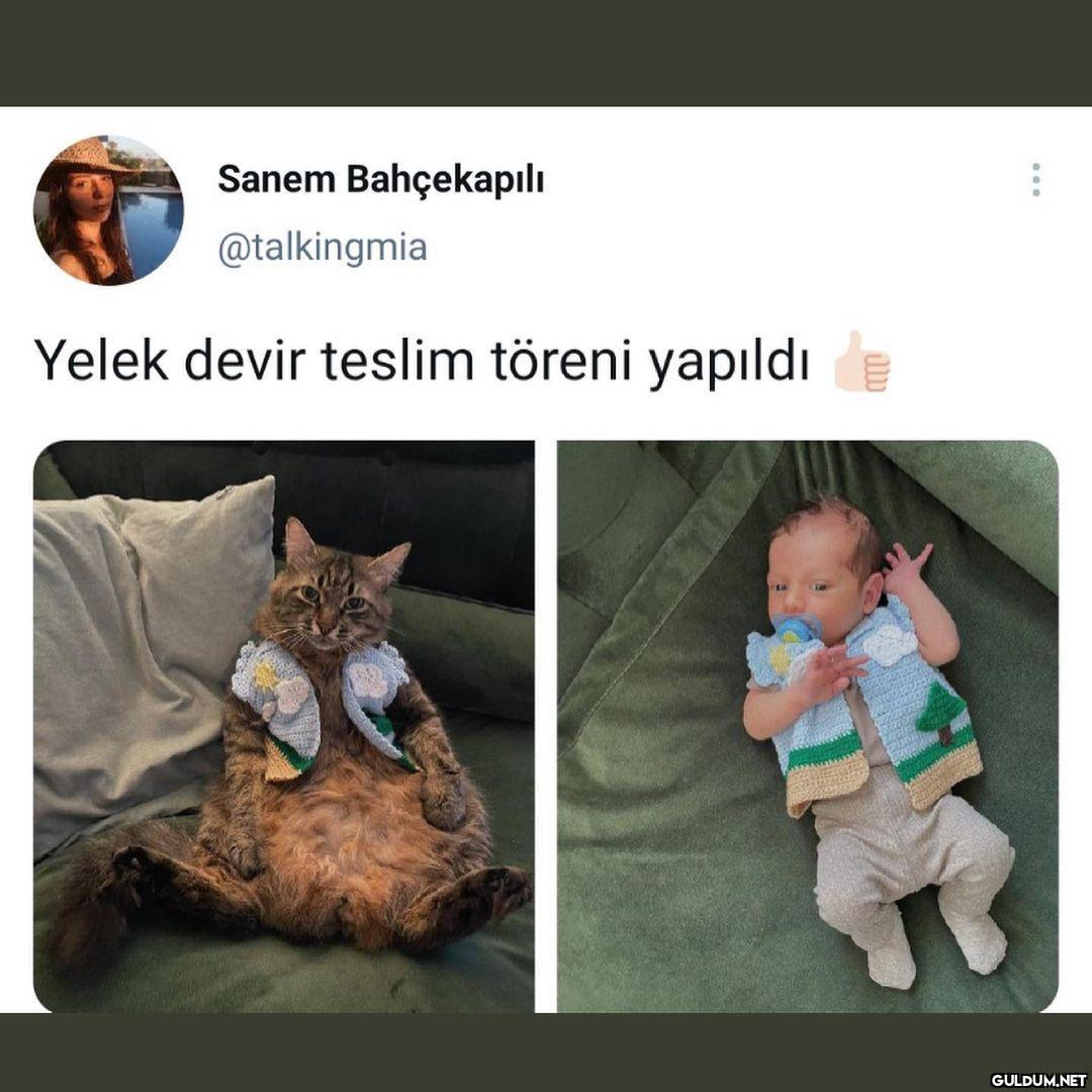 ALDJSLDJDK HARİKA OLAY ...