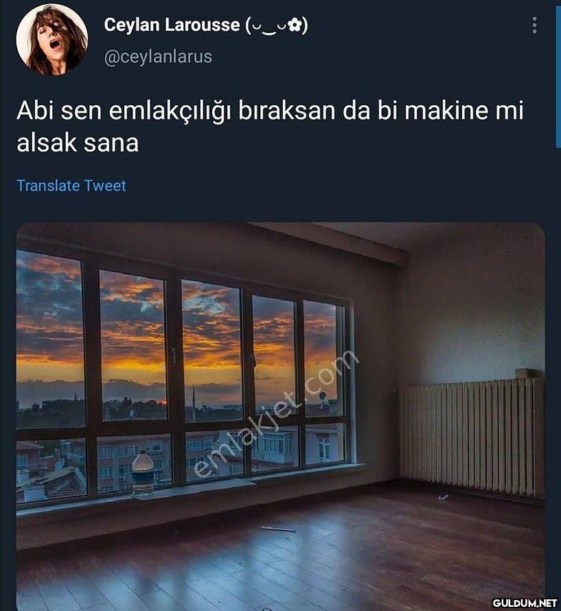Ceylan Larousse (_u)...