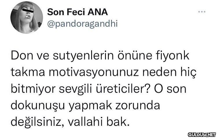 Son Feci ANA ......