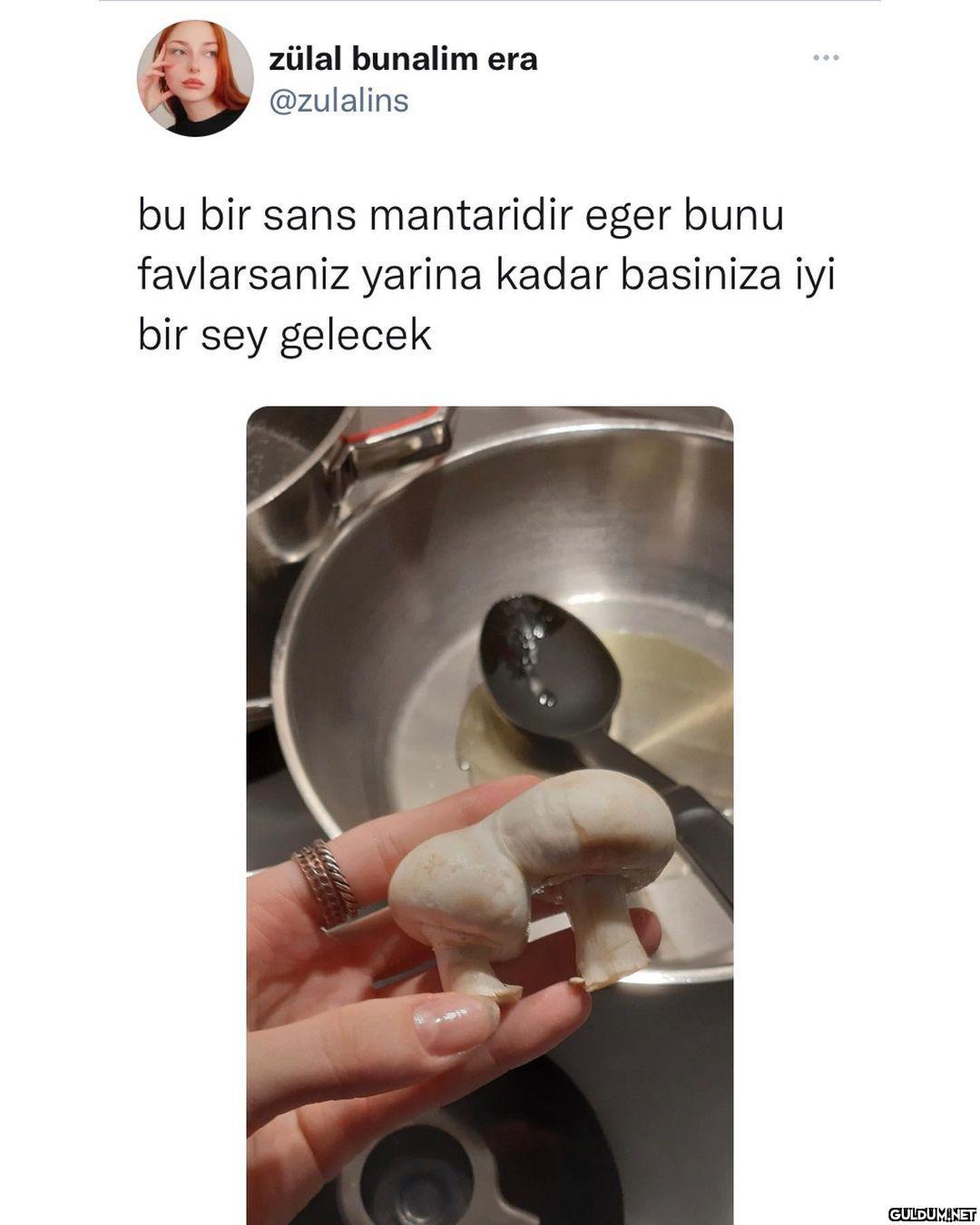 beğenelim sans mantarını ...