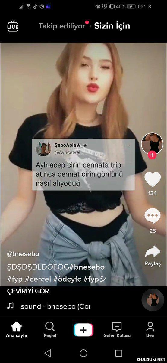 Fan dili ve edebiyatı   ...