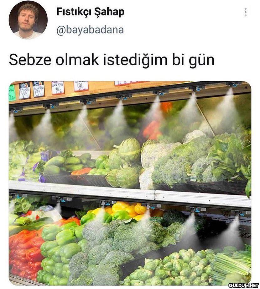 Fıstıkçı Şahap @bayabadana...