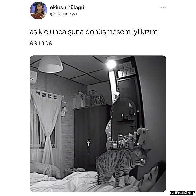 ekinsu hülagü @ekimezya...