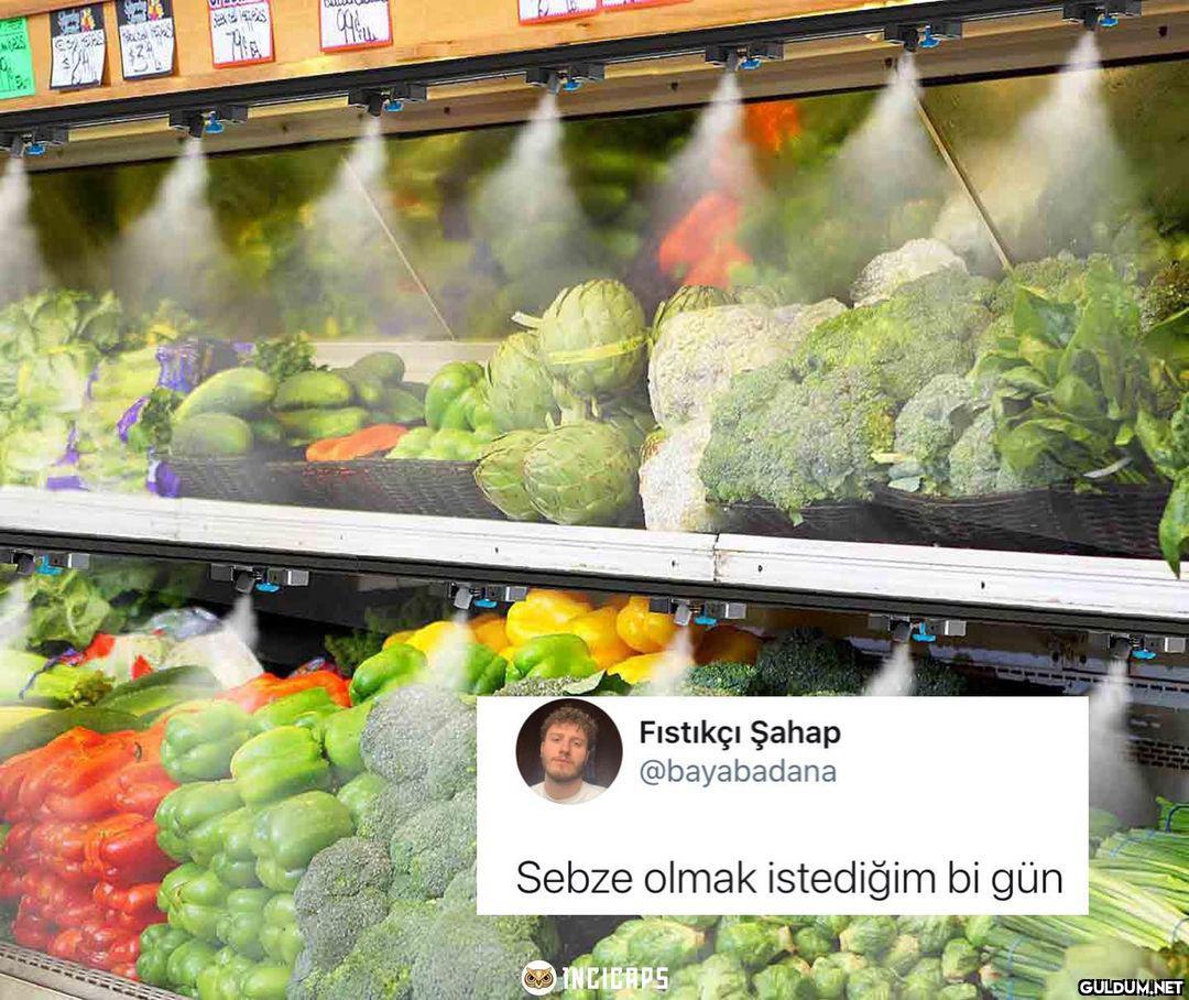 324 Fıstıkçı Şahap...