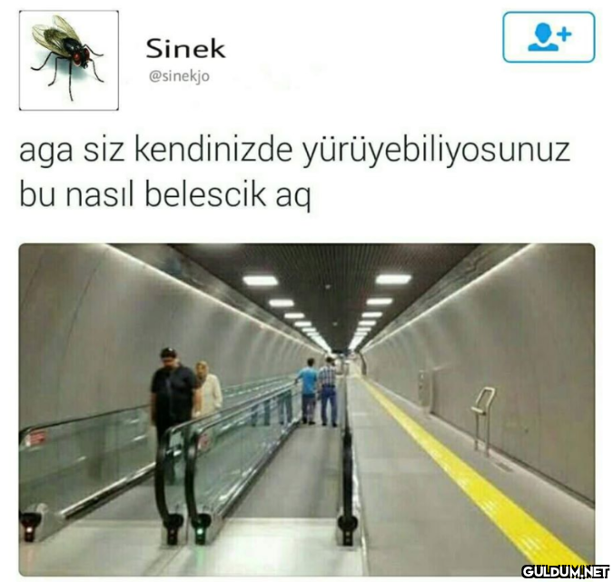 Erinç Bilican...