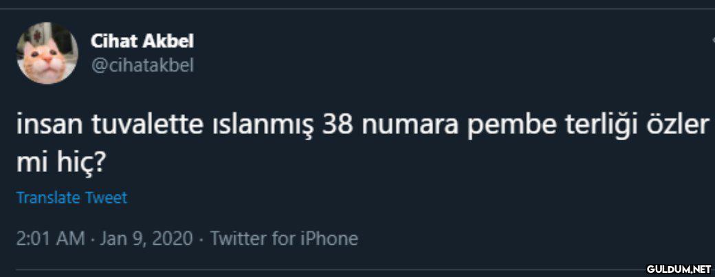 Cihat Akbel @cihatakbel...