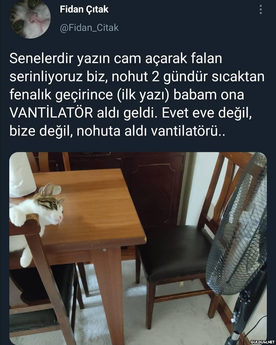 Her beğeni babaya helal...