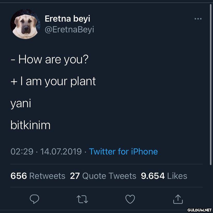 Gece gece güzel bir espri...