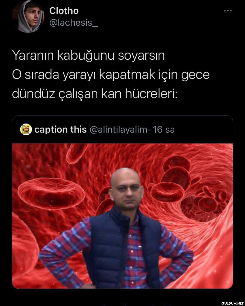 Clotho @lachesis_ Yaranın...