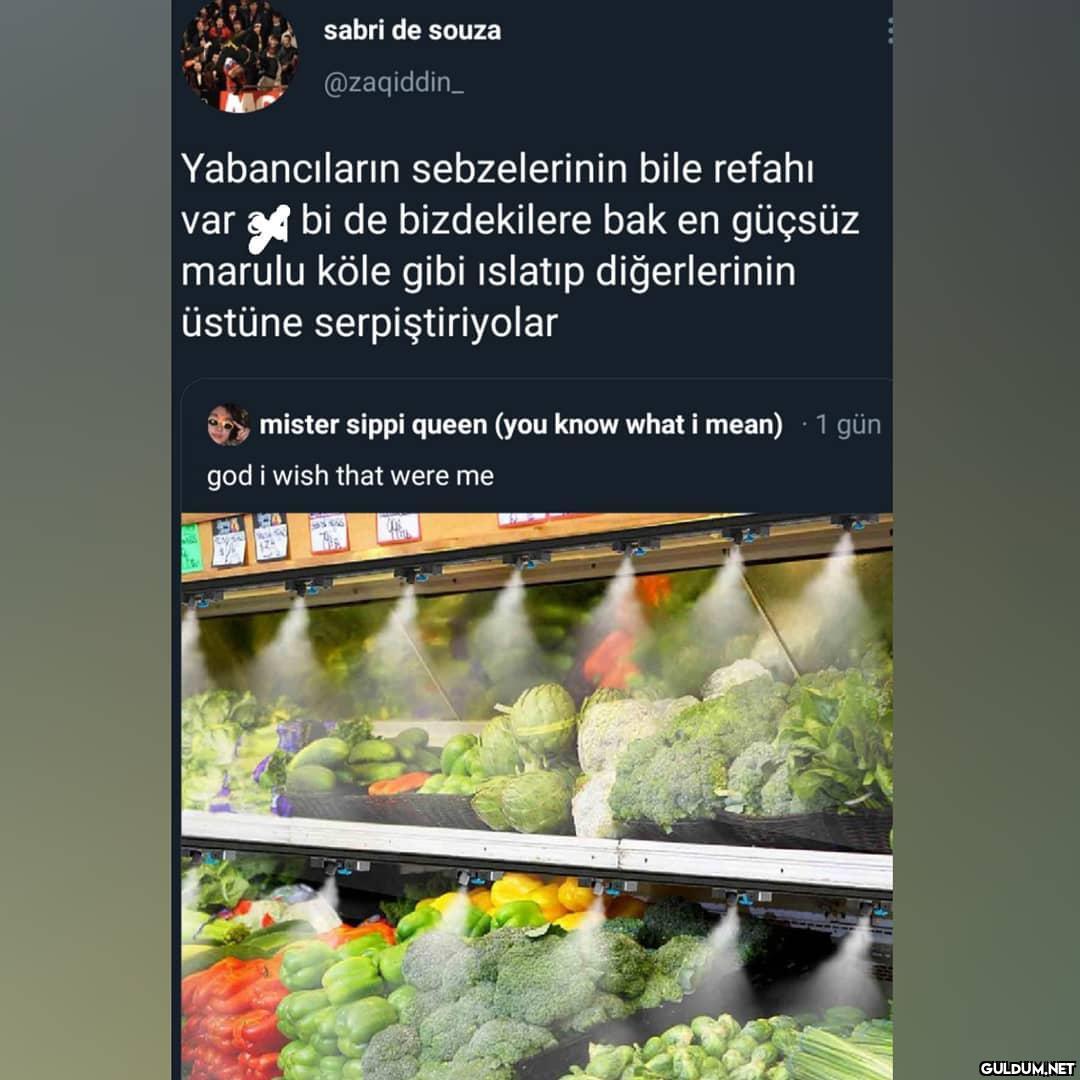 Şuan fena sebze olasım var...