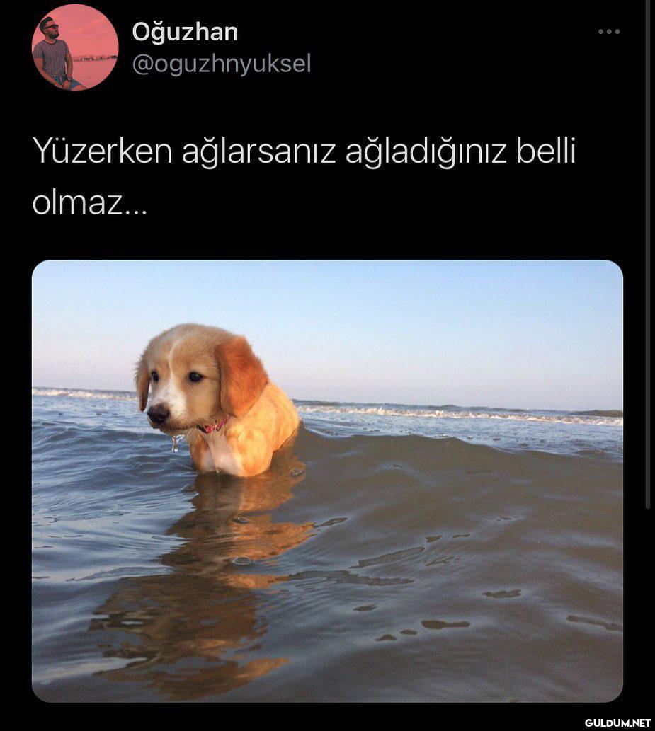 Oğuzhan @oguzhnyuksel...