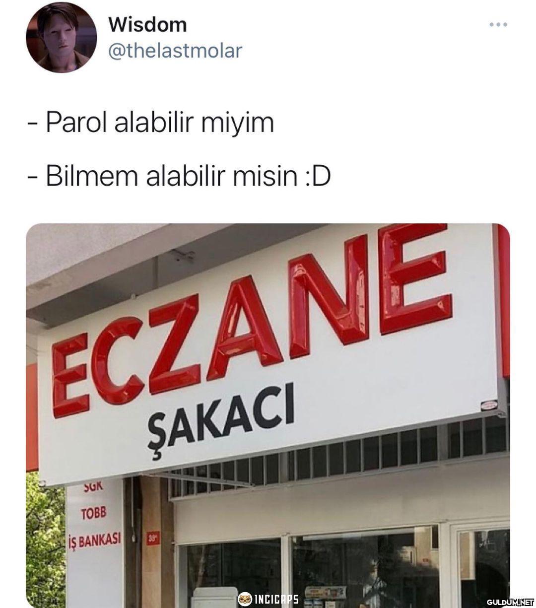 Wisdom @thelastmolar ... -...