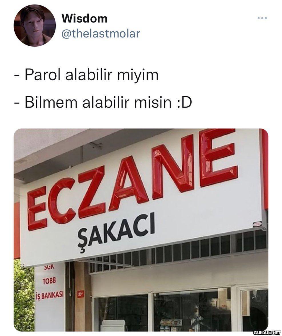 Wisdom @thelastmolar -...