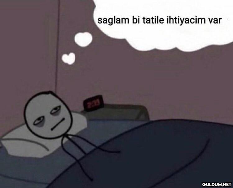 anlık böyleyim  saglam bi...
