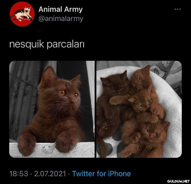 tabagımda kalan son 4...